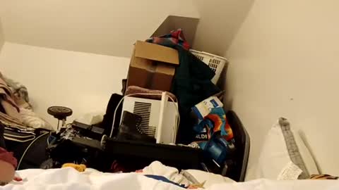 amileamariestar online show from December 16, 7:15 am