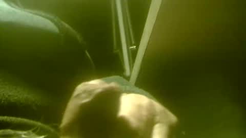 amolafica12 online show from November 27, 8:11 am