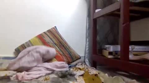 shantel online show from March 17, 5:29 pm