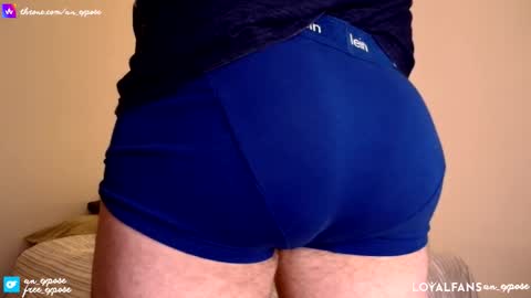 an expos online show from November 15, 1:51 am