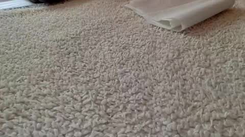 AnalFuckHole online show from May 31, 1:21 pm
