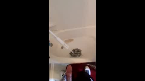 analmadekristenorgasm1996 online show from June 8, 4:19 pm