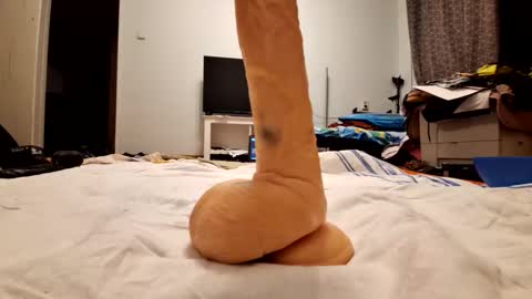 analtoylover1984 online show from October 7, 8:05 pm