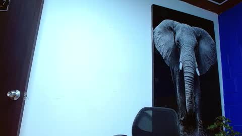 Andre Parker online show from January 23, 2:33 am