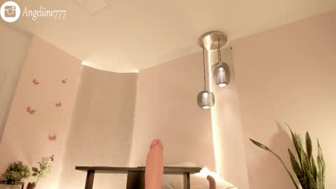 Angeline  online show from February 12, 1:26 pm