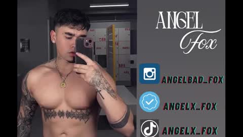 Angel Fox online show from November 6, 1:08 am
