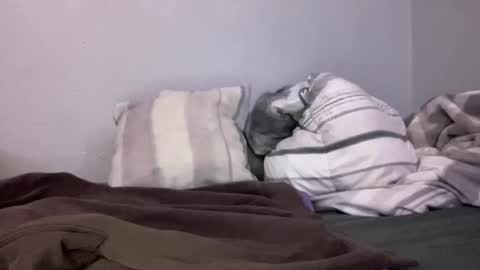 Snapshot of animeboygirls chatting on January 10, 5:05 am Animeboygirls online show from January 10, 5:05 am