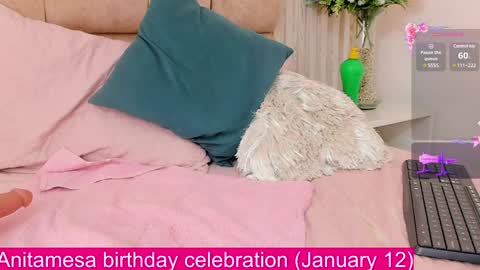 Snapshot of anitamesa chatting on January 8, 8:49 am Anita  online show from January 8, 8:49 am