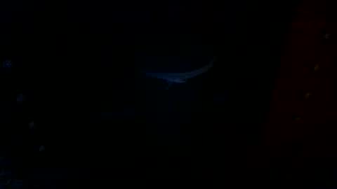 annecharlie online show from November 30, 7:48 am