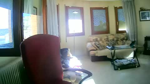 Antonio online show from January 13, 11:19 am