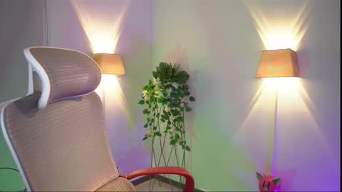 insta appolo master online show from November 13, 6:49 am