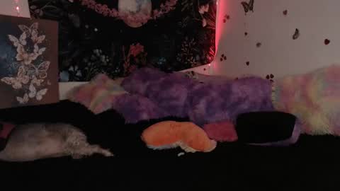 april_l6 online show from November 28, 11:34 pm