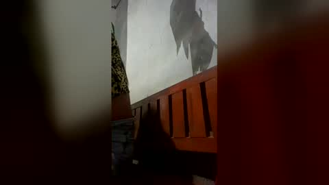 arcilicious_ts online show from February 14, 5:59 pm