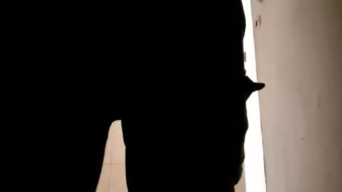 arielferdman online show from October 16, 7:56 pm