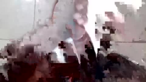 arshkhant987 online show from September 18, 10:47 pm