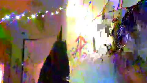 Bas online show from December 2, 1:19 pm