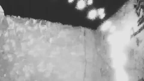 Bas online show from December 2, 10:03 am