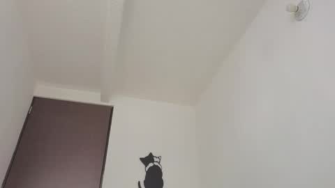   online show from November 7, 11:12 am