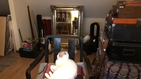 artisterotic online show from April 8, 10:02 pm