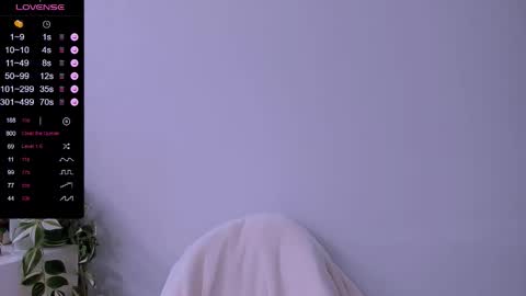 Ashley online show from February 1, 1:30 pm