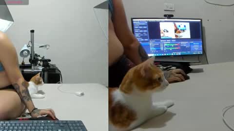 Ashley rossez7 online show from September 14, 6:42 pm