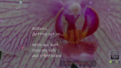 Atrena online show from April 10, 1:00 am