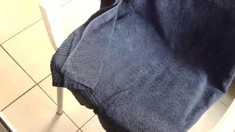 aviatoradz online show from November 9, 9:46 am