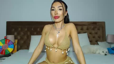 Aylin online show from February 21, 7:22 am