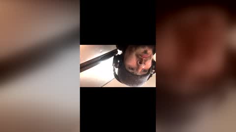 b1gd1k290013 online show from January 31, 10:07 pm