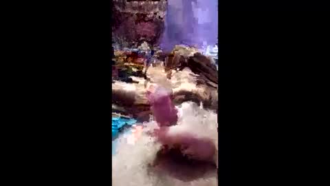 bahaa5555 online show from March 25, 7:09 pm