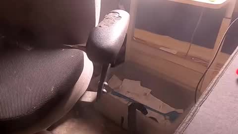 Wank Hank online show from March 20, 10:42 am