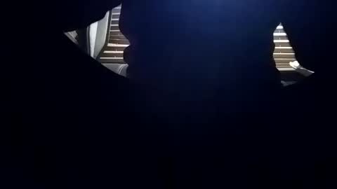 baobabtree8 online show from January 12, 2:03 am