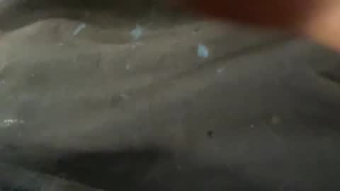 barsus38 online show from November 13, 9:12 am