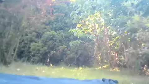 bartbartek online show from July 19, 5:54 am