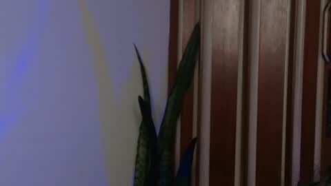 Bastiel online show from May 27, 1:57 am