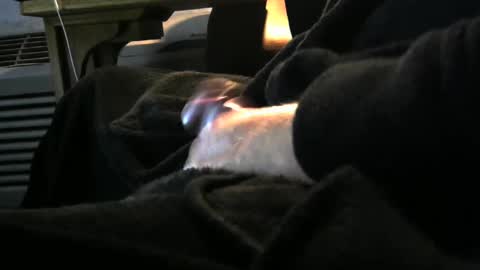 bear4146 online show from December 6, 3:28 pm