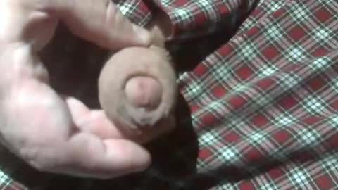  Reservoir Dogs online show from December 28, 12:15 am