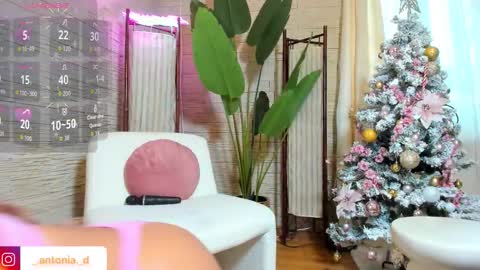 bella_posh online show from December 14, 7:58 am