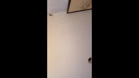 bgiamba21 online show from January 12, 6:53 am