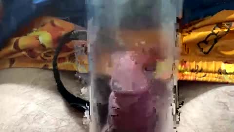 big88385909 online show from December 23, 1:12 am