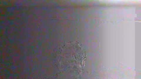 bigalnoone online show from March 26, 10:04 pm