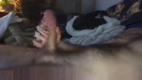 bigastex online show from January 7, 3:00 am