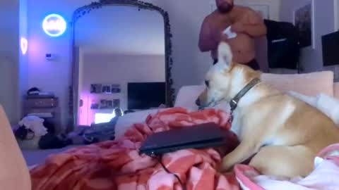 BigBear4Cuddles online show from May 23, 1:56 am