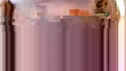 bigdforfun2nite online show from December 6, 2:55 pm