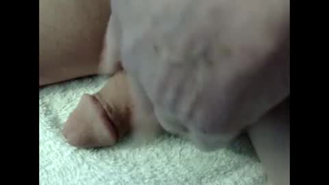 Snapshot of bigdipper58 chatting on February 23, 5:18 pm bigdipper58 online show from February 23, 5:18 pm