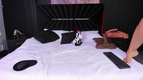 Zayra online show from November 30, 8:21 am