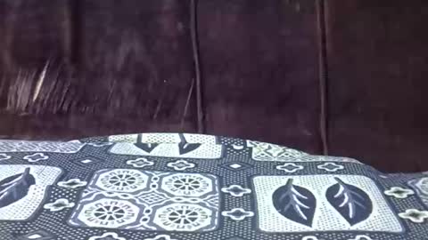 blaqboi_ online show from March 3, 7:59 am