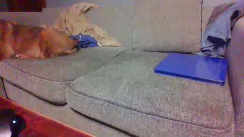 blaw_1321 online show from April 19, 10:45 pm