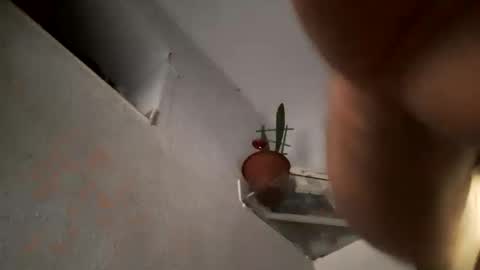 Bomberto online show from November 22, 9:35 pm