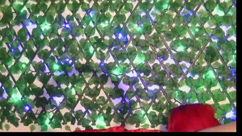 bombon online show from April 18, 3:03 pm